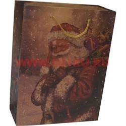 Пакет подарочный «Дед Мороз» 18х23 см (20 шт/уп) - фото 104575
