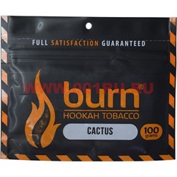 Табак для кальяна Burn 100 гр «Cactus» - фото 107078