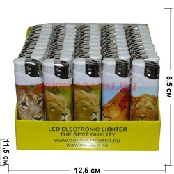 Зажигалка газовая Ognivo-Lighter «львы» 50 шт/бл - фото 111245