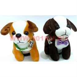 Собачка копилка музыкальная (SD-38) с бантиками 12 шт/уп - фото 111400