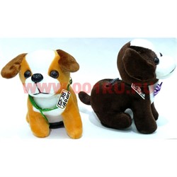 Собачка копилка музыкальная (SD-38) с бантиками 12 шт/уп - фото 111401