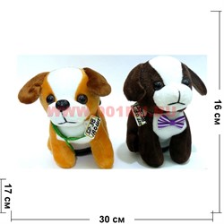 Собачка копилка музыкальная (SD-38) с бантиками 12 шт/уп - фото 111402