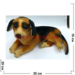 Собака музыкальная 4-5 видов 150 шт/кор (символ 2018 года) - фото 111609