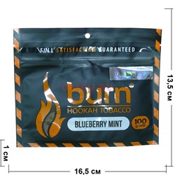 Табак для кальяна Burn 100 гр «Blueberry Mint» - фото 120192