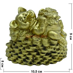 Свинка из полистоуна копилка (KL-1862) символ 2019 года - фото 124959