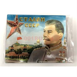 Магнит (MS-38) «Сталин СССР» виниловый - фото 137128