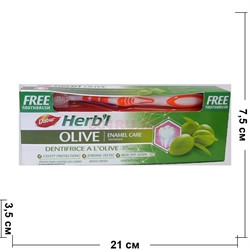 Зубная паста «Dabur Herb'l» восстановление эмали 150 г с зубной щеткой - фото 139406