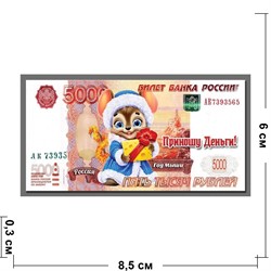 Магнит символ 2020 года купюра 5000 рублей «Приношу деньги!» год мыши - фото 141645