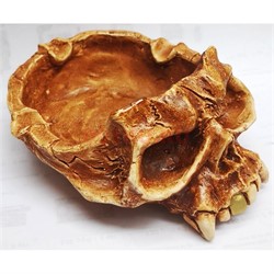 Пепельница «череп с зубами» 2 цвета - фото 150103