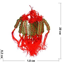 Подвеска Феншуй 6 монет 18 мм - фото 161868