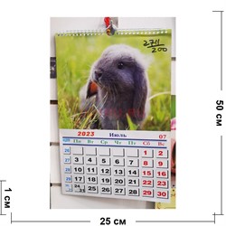 Календарь (2711) на 2023 года с Кроликами 200 шт/коробка - фото 192516