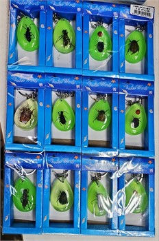 Брелок флуоресцентный Жуки натуральные в пластмассе 12 шт/упаковка (KY-51) - фото 200222