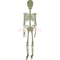 Прикол Скелет светящийся флуоресцентный 30 см - фото 202266