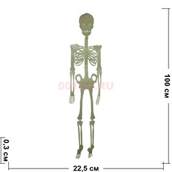 Прикол Скелет светящийся флуоресцентный 100 см - фото 202269