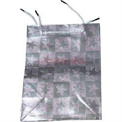 Пакет подарочный голографический 18х23 см 12 шт/упаковка - фото 221855