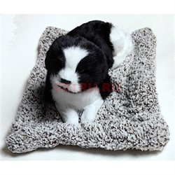 Игрушка мягкая Собака большая на подстилке гавкает 12 шт/упаковка - фото 221930