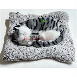 Игрушка мягкая Кошка спящая на подстилке мяукает 12 шт/упаковка - фото 222492