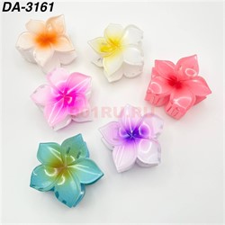 Заколка краб (DA-3161) цветок 12 шт/упаковка - фото 222920 Заколка краб (DA-3161) цветок 12 шт/упаковка - фото 222920