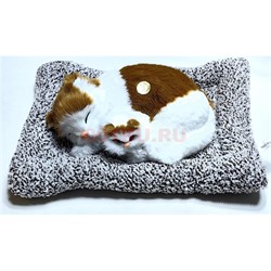 Игрушка мягкая Кошка с котенком спящая на подстилке мяукает 12 шт/упаковка - фото 223456