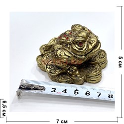 Жаба на монетах (KL-7) из полистоуна - фото 225954