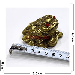 Жаба фэншуй на монетах (KL-8) из полистоуна - фото 225956