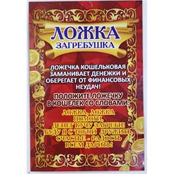 Ложка загребушка простая 27 мм денежный амулет в кошелек - фото 226092