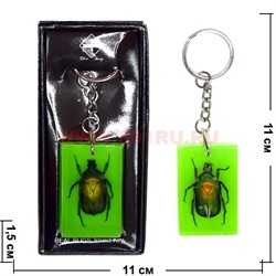 Брелок "Майский жук" в пластмассе, цена за 12 шт - фото 49716