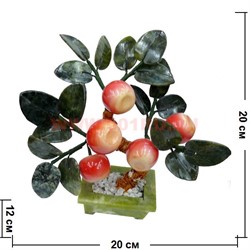 Дерево "Яблоко 5 плодов" - фото 50874