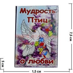 Карты гадальные "Мудрость птиц о любви" - фото 53976