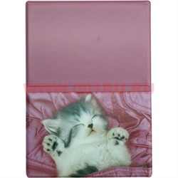 Чехол для паспорта "Котёнок" - фото 55951