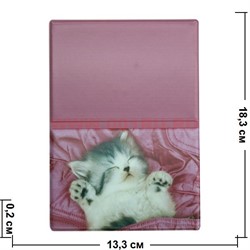 Чехол для паспорта "Котёнок" - фото 55952