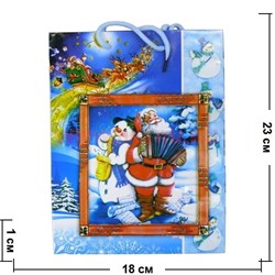 Пакет подарочный новогодний 18х23 см (рисунки в ассортименте) - фото 59941