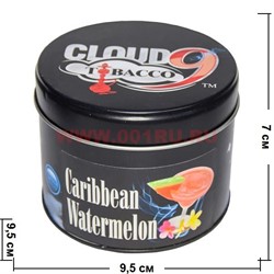 Табак для кальяна Cloud 9 "Caribbean Watermelon" 200 гр (США) - фото 63269