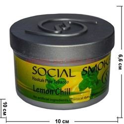 Табак для кальяна Social Smoke 250 гр "Lemon Chill" (USA) лимон+мята - фото 63320