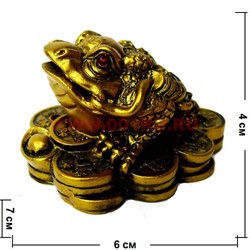 Жаба на монетах средняя - фото 66200