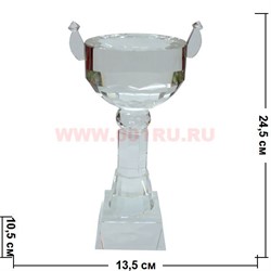 Приз стеклянный 24,5см - фото 80479