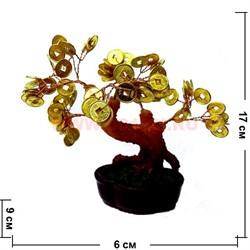 Денежное дерево 17 см - фото 80825