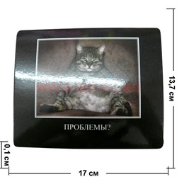 Картинки-приколы "Проблемы?" - фото 85261