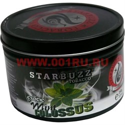 Табак для кальяна оптом Starbuzz 250 гр "Mint Colossus Exotic" (мята) USA - фото 91906