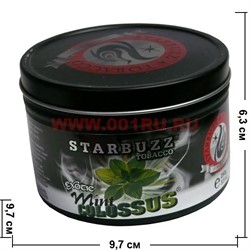 Табак для кальяна оптом Starbuzz 250 гр "Mint Colossus Exotic" (мята) USA - фото 91907