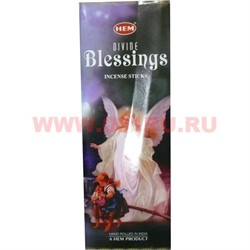 Благовония HEM Divine Blessings (Божественное благословление) цена за 6 тубусов - фото 94007