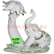 Слоник с пальмой (KL-834) из фарфора 72 шт/кор