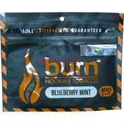 Табак для кальяна Burn 100 гр «Blueberry Mint»