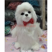 Собака повторюшка цвета ассортимент