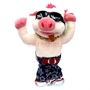 Игрушка музыкальная (AJ-307) Свинка в очках на 3 песни