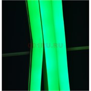 Лента неоновая зеленая с блоком (светодиодная двусторонняя) 5 м