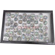 Кольцо металлическое (KL-2308) перламутр малое 50 шт/упаковка