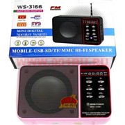 Колонка-радио "Hi-Fi" WS-3166