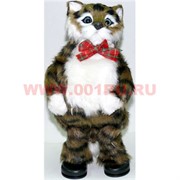 Кот поющий и танцующий