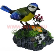 Музыкальная игрушка "Птичка поющая" 3 цвета (48 шт/кор)